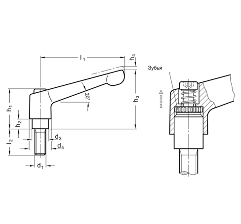 Рычаг зажимной GN 300.1-45-M6-40-SW