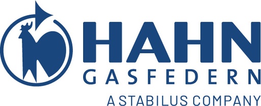 HAHN Gasfedern